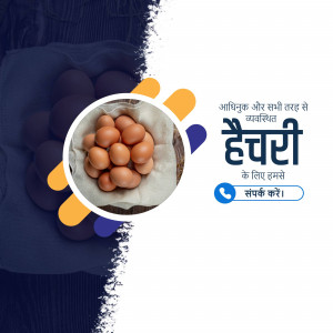 Pile of brown eggs in a cloth with a promotional graphic for a hatchery.