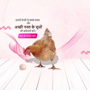 A brown chicken pecking near an egg on a wooden floor with pink feather accents and Hindi text.