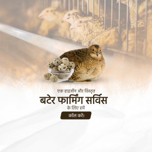 Close-up of a quail with quail eggs, promoting quail farming services.