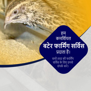 Close-up of a bird with text advertising poultry farming services in Hindi.