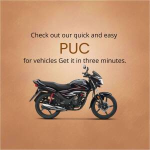 PUC For Vehicles - Quick & Easy Flyer For X