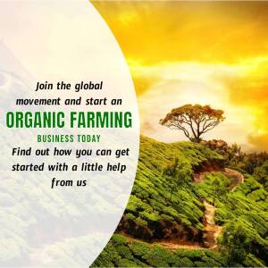 Image promoting organic farming business with a scenic landscape.