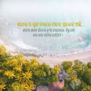 Aerial view of Puri beach with golden sand, turquoise water, and lush green palm trees.