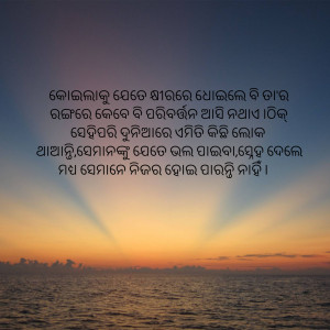 Sunrise over the ocean with Odia script overlayed