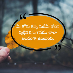 Quote in Telugu language with a blurred background and a falling leaf