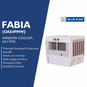 Blue Star Fabia Window Cooler - 54 Liters with Thermal Overload Protection