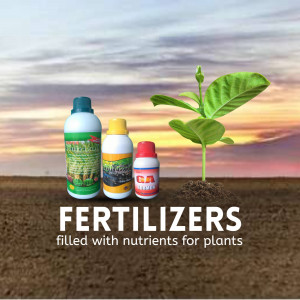 Bottles of fertilizer with a young plant against a sunset background