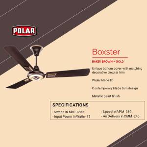 Polar Boxster Baker Brown-Gold Ceiling Fan Marketing Image For Instagram