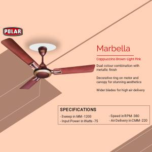 Polar Marbella Ceiling Fan Business Poster For Google Business Profile