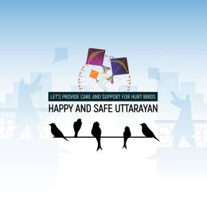Illustration of kites and birds with a message about caring for injured birds during Uttarayan.