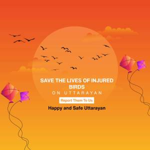 Image depicting birds flying against a sunset background with a message to save injured birds during Uttarayan.