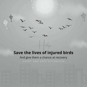 Silhouette of birds and kites with a message to save injured birds.