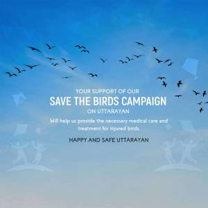 Birds flying in a blue sky with text promoting a campaign to save injured birds during Uttarayan.