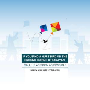 Image depicting kites flying and a message about helping injured birds during Uttarayan.
