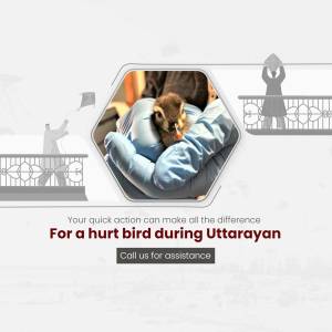 A person holding an injured bird during Uttarayan festival.