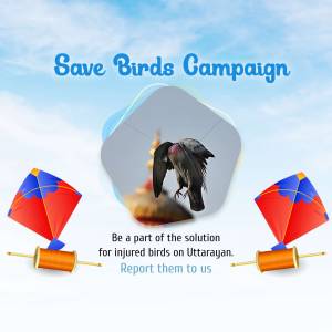 Image promoting a campaign to save birds injured during Uttarayan kite festival.