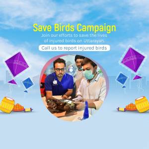 Veterinarians treating an injured bird during Uttarayan kite festival