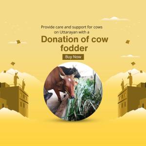 Image promoting donation of cow fodder for Uttarayan festival.