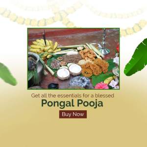 Pongal Pooja offerings with fruits, sweets, and traditional items
