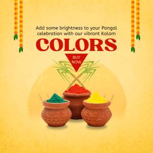 Colorful Kolam powders for Pongal celebration