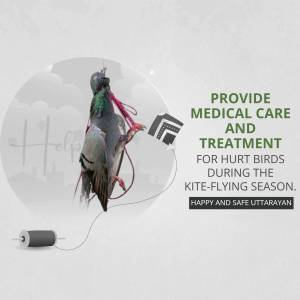 An illustration of an injured bird entangled in kite string, promoting medical care for hurt birds during Uttarayan.
