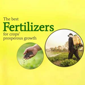 Image promoting fertilizers for healthy crop growth with a farmer spraying fields and seeds in hand.