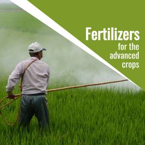 Farmer spraying fertilizer on a green field