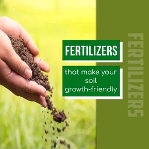 Hand holding soil with text 'Fertilizers that make your soil growth-friendly'