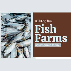 Image of fresh fish and text promoting fish farm development
