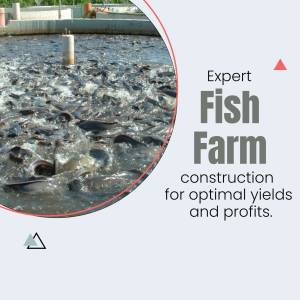 Close-up of fish in a farm pond with text overlay promoting expert construction services.