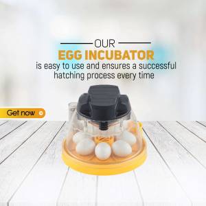 Our Egg Incubator - Hatching Made Easy Promotional Banner For LinkedIn