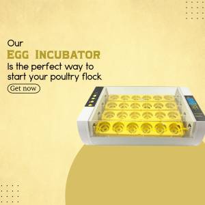 Egg Incubator - Perfect For Your Poultry Flock Template For Twitter