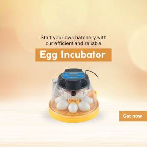 Egg Incubator - Start Your Hatchery Marketing Image For LinkedIn