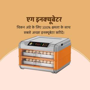Automatic egg incubator with eggs inside, ideal for chicken breeding.