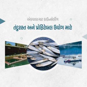 Image depicting fish and aquaculture facilities with Gujarati text.