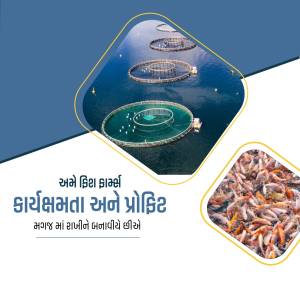 Aerial view of fish farms and fish food