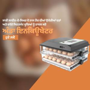 Image of an automatic egg incubator with eggs inside, against an orange and brown background.