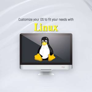 Computer screen displaying the Linux penguin logo with text 'Customize your OS with Linux'