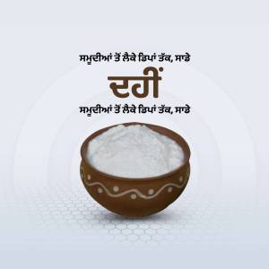 A bowl of creamy white yogurt (dahi) on a light blue background with text in Punjabi.
