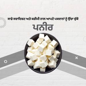 A bowl of cubed paneer on a white and grey background.