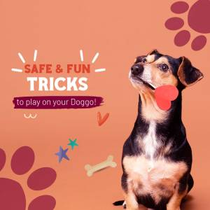 Safe & Fun Dog Tricks Promotional Banner For Telegram