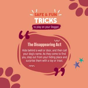 Dog Tricks: The Disappearing Act Image For Facebook