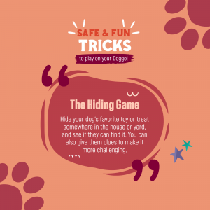 Dog Tricks: The Hiding Game Design For Twitter