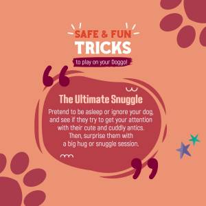 Dog Tricks & Snuggles Banner For Facebook