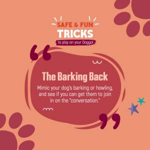 Dog Training Tricks - The Barking Back Artwork For Google Business Profile