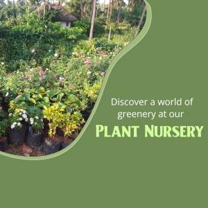A vibrant plant nursery with a variety of flowers and plants.
