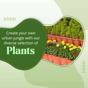 Assortment of potted plants with text overlay promoting an urban jungle aesthetic.