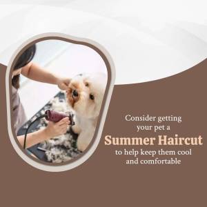 Summer Haircut For Your Pet Banner For Google Business Profile