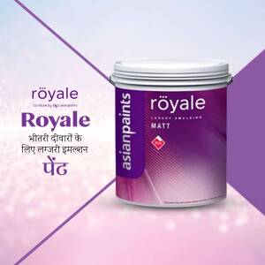 Close-up of an Asian Paints Royale Matte paint can with purple and white branding.