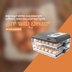 Image of an automatic egg incubator with eggs inside, against an orange gradient background.